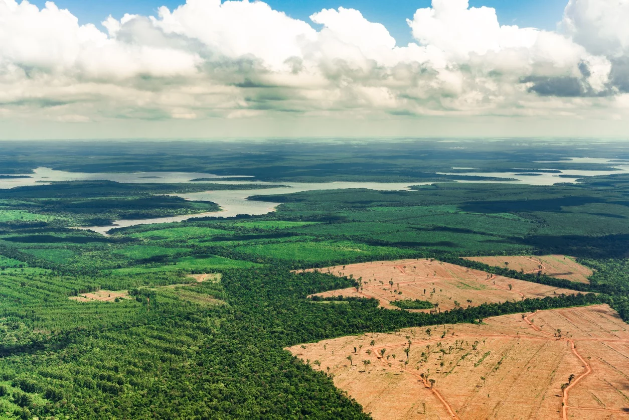 Bancos ameaçam retirar investimentos do Brasil por desmatamento