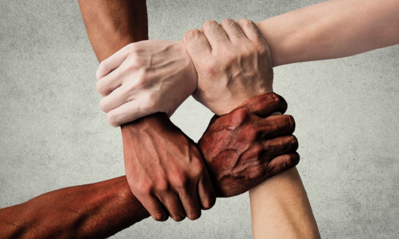 Parlamentares reafirmam importância da luta contra o racismo