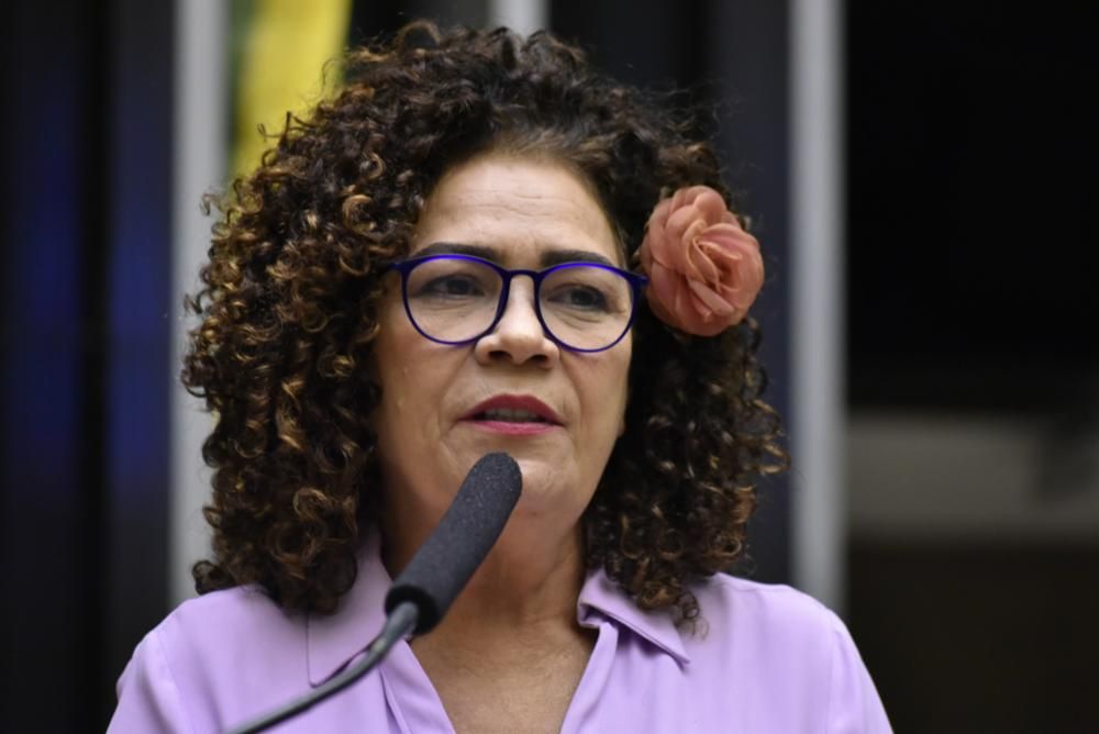Perpétua cobra votação do pedido de suspensão de Daniel Silveira