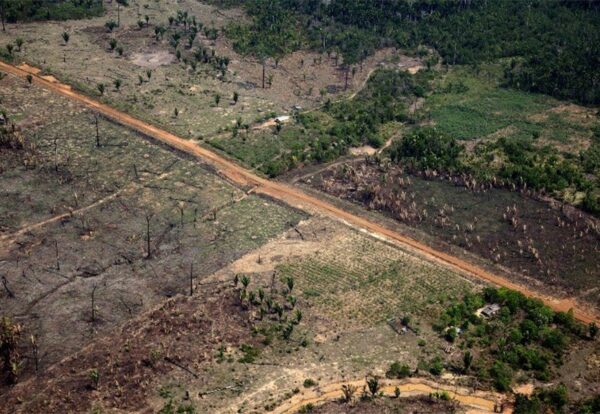 INPE: alertas de desmatamento na Amazônia batem recorde em fevereiro