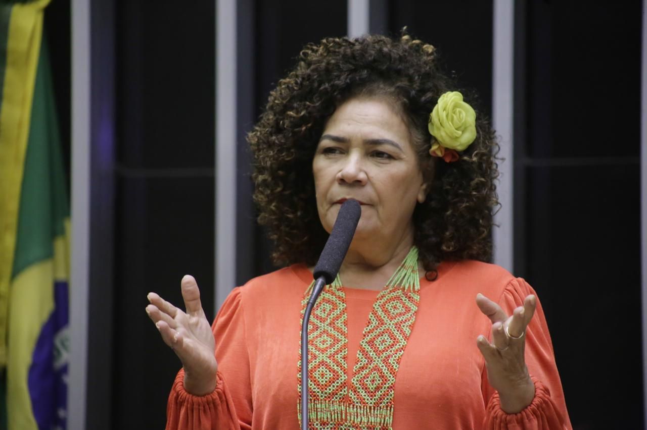 Perpétua quer agilidade para projeto que proíbe cobrança de bagagem