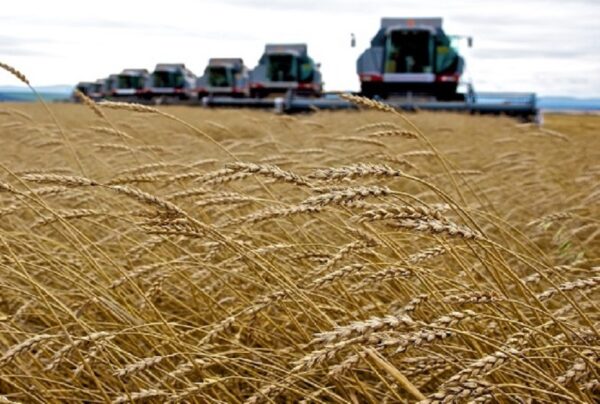 EUA atiçam conflito Ucrânia/Rússia para especular com inópia alimentar