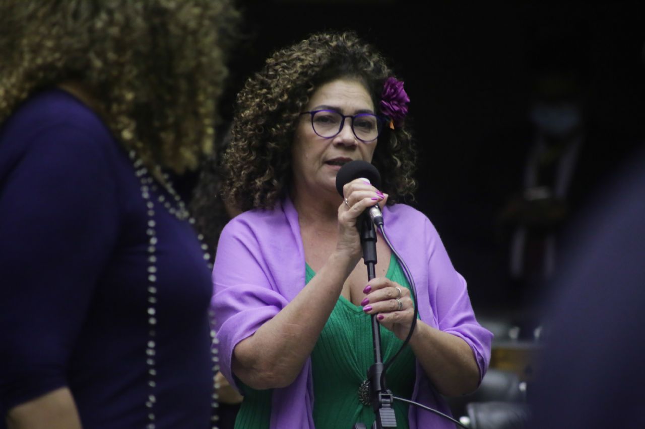 Emenda de Perpétua: volta gratuidade no despacho de bagagens aéreas