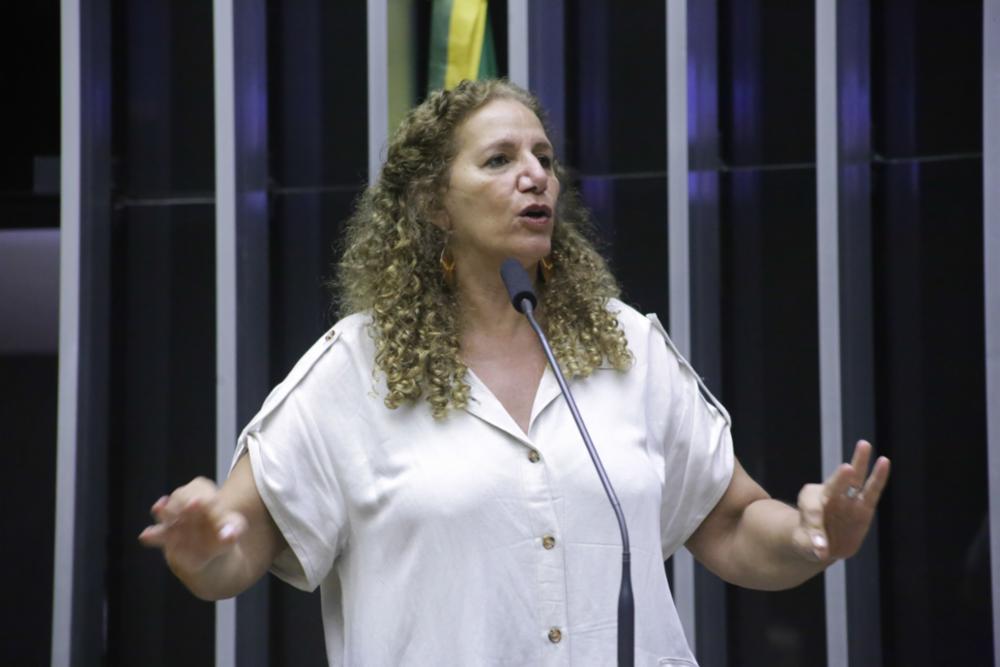 Jandira critica inação do governo Bolsonaro para enfrentar crise
