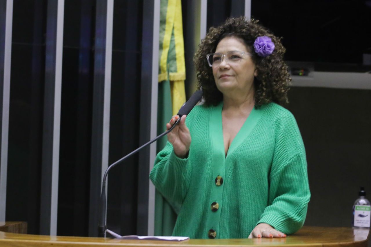 Senado aprova emenda de Perpétua de gratuidade no despacho de bagagem
