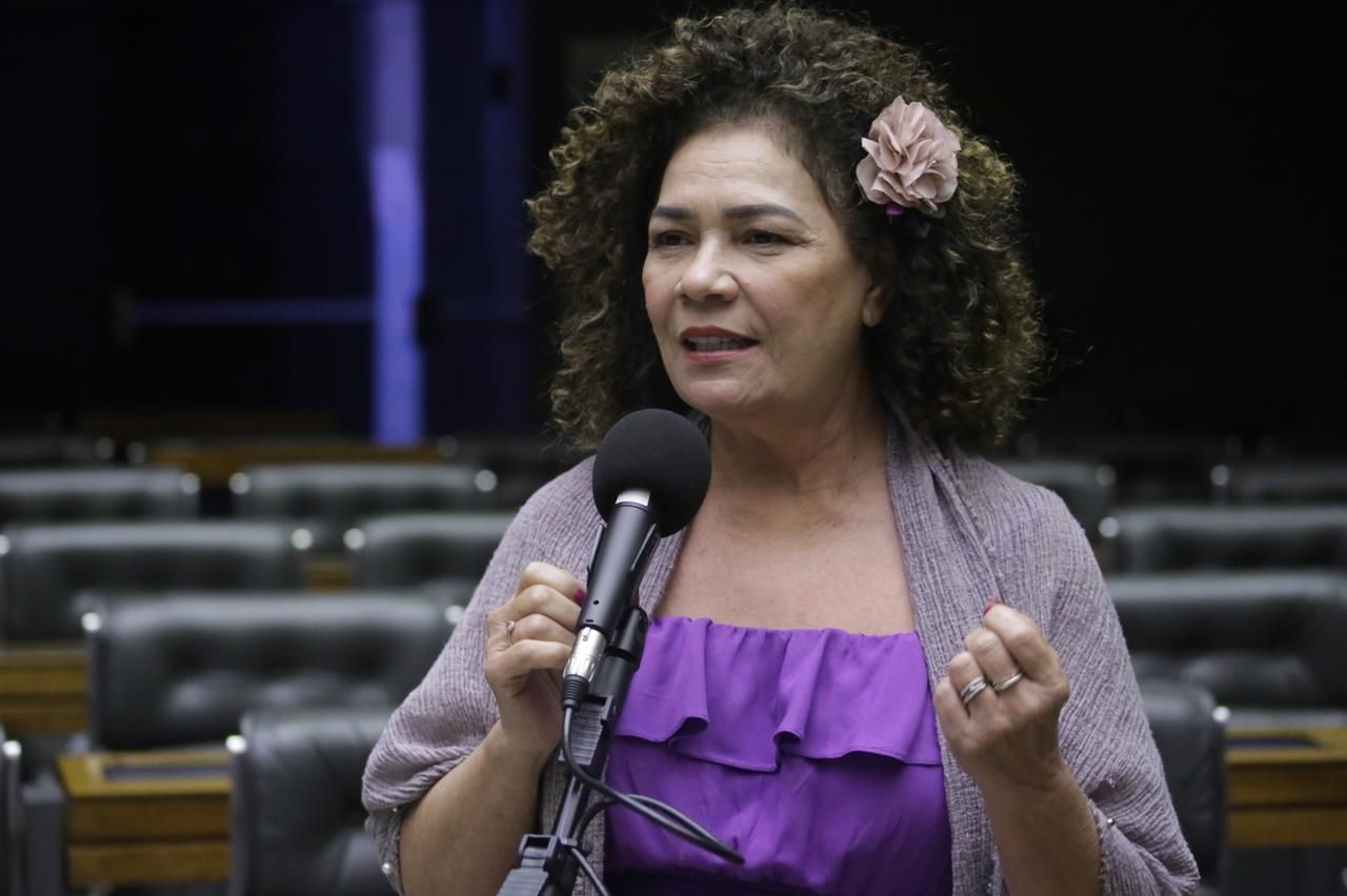 Câmara aprova urgência para PL de Perpétua sobre parto humanizado