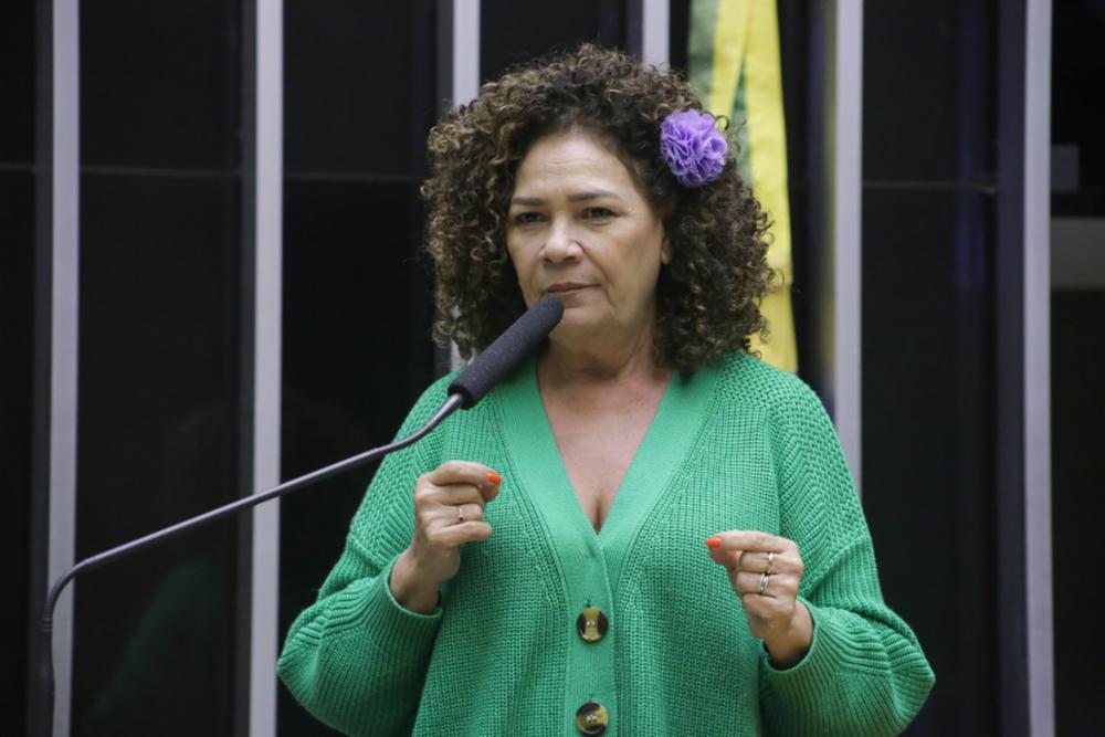 Perpétua: gasto com Musk deveria ir para Programa Espacial Brasileiro