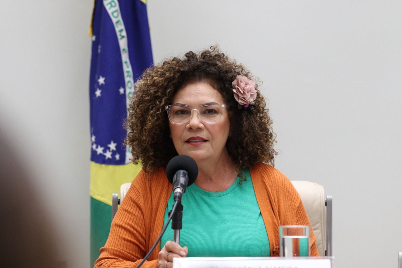 Perpétua evita votação de PL autoritário sobre excludente de ilicitude