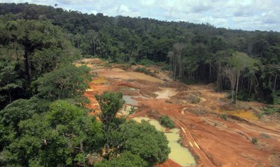 Bolsonaro ‘potencializou’ crime ao desmontar fiscalização na Amazônia