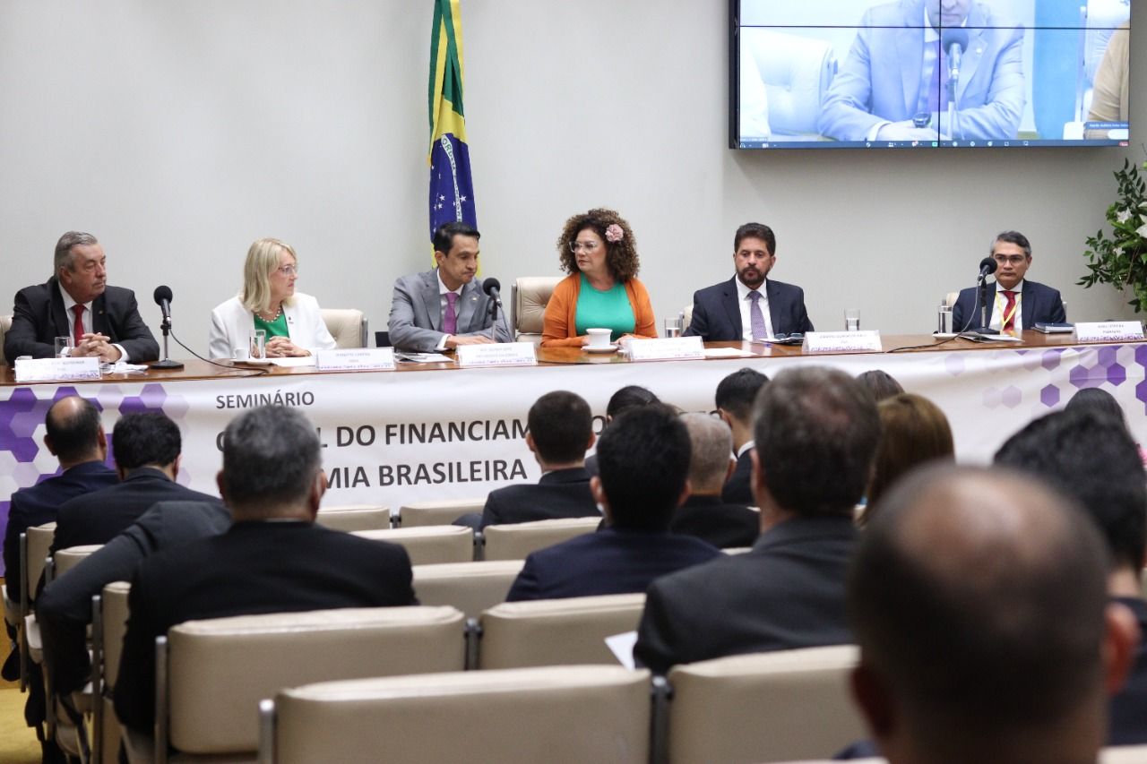 Perpétua coordena debate sobre papel dos bancos na retomada econômica